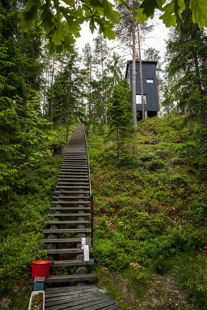 Yksiö metässä#001